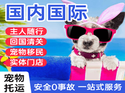 遵义新舟机场托运国际宠物托运 【国
